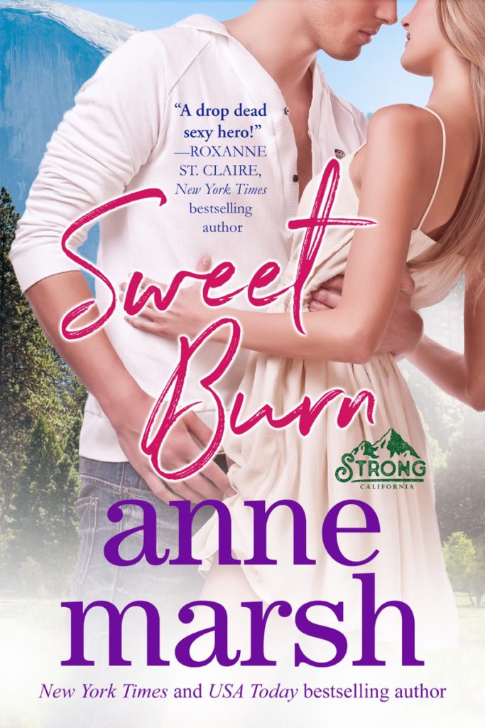 Sweet Burn by Anne Marsh