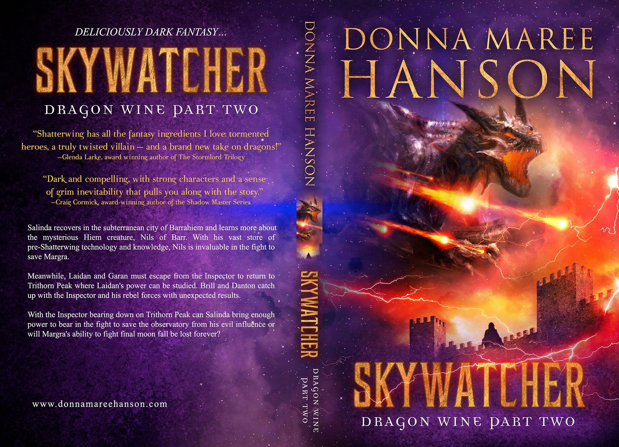 Skywatcher by Donna Maree Hanson (Print Coverflat)